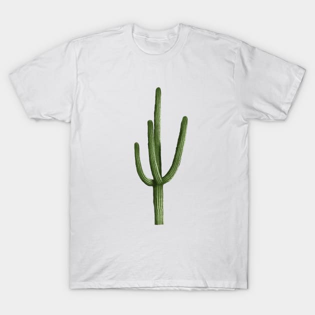 Saguaro Cactus T-Shirt by Obstinate and Literate